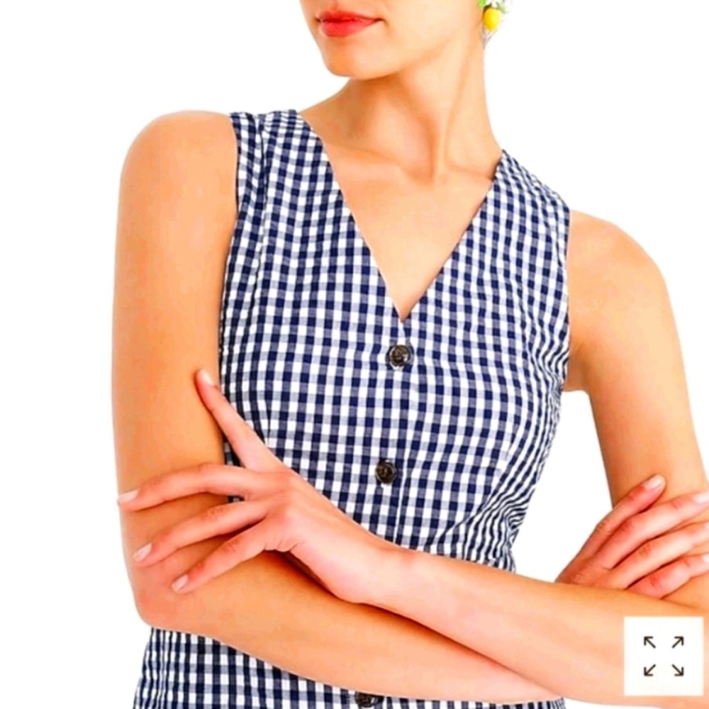 J. Crew Navy and White Gingham Sleeveless V-Neck Dress